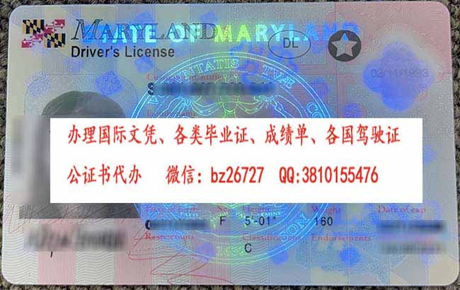 ������������MD����