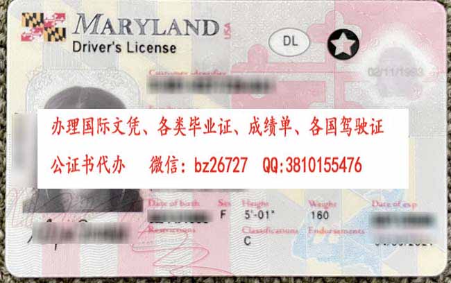 ������������MD����