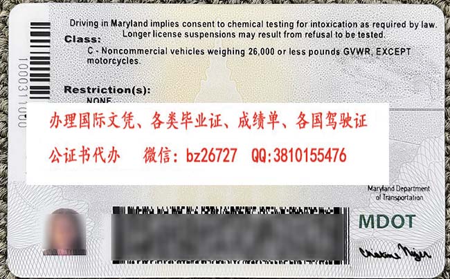 ������������MD����