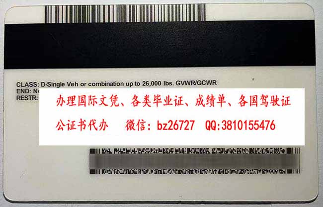 ������Ъ���ݼ��ձ���