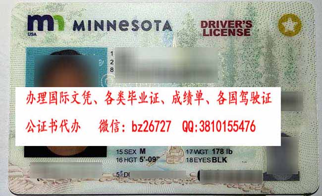 ������Ъ���ݼ�������