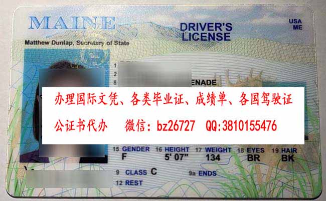 ���������ݼ�������