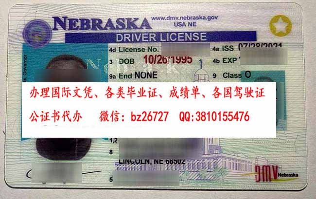 �����ڲ���˹���ݼ�������