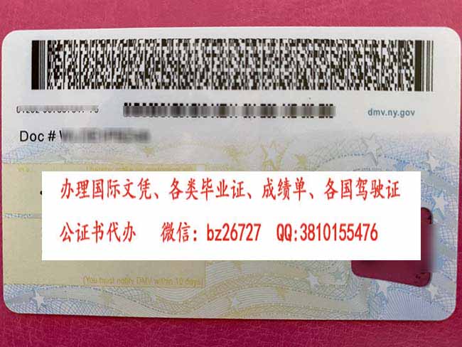 ����ŦԼ����