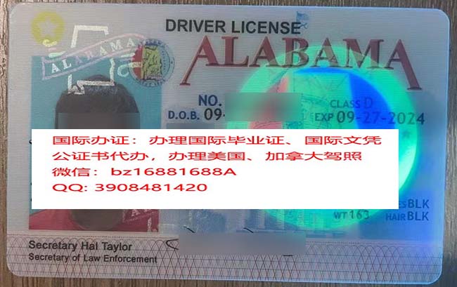 �������������ݼ�������