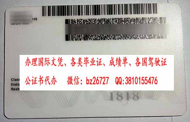 ��������ŵ���ݼ��ձ���