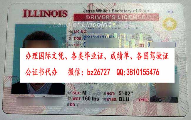 ��������ŵ���ݼ�������