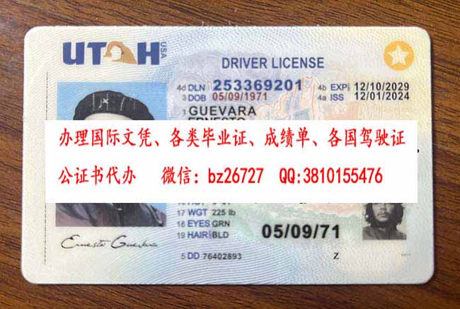 �����ݼ���