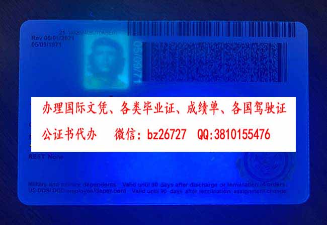 �����ݼ��ձ���