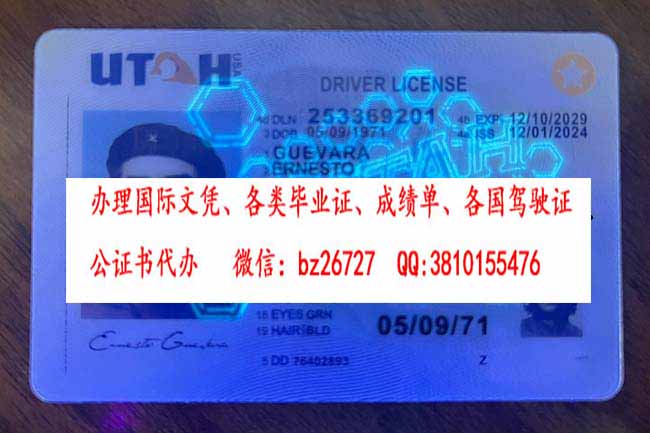 �����ݼ�������