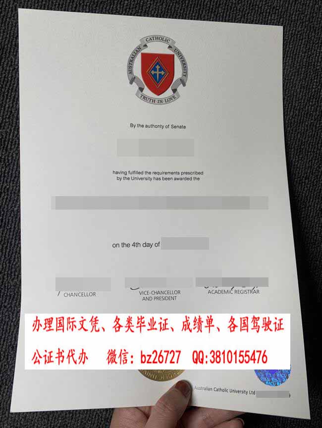 �Ĵ����������̴�ѧ��ƾ