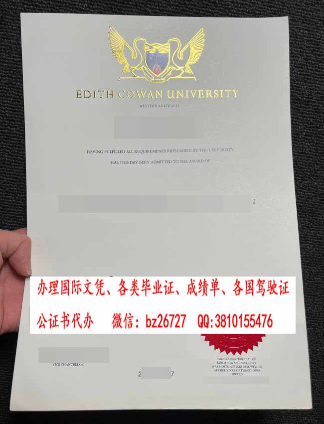 ����˹���Ĵ�ѧ��ƾ