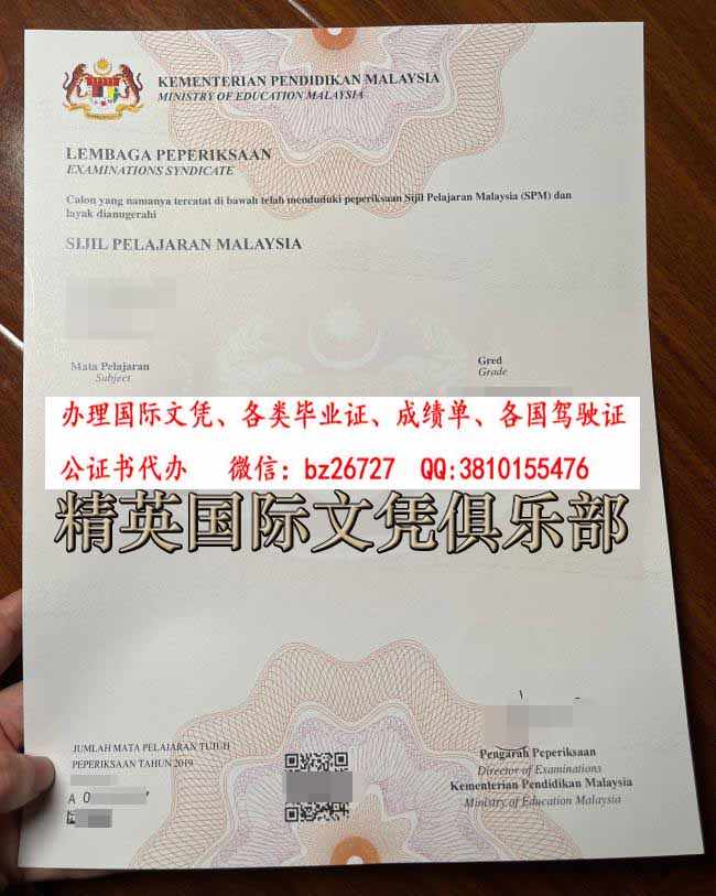 �������ǽ�����ƾ