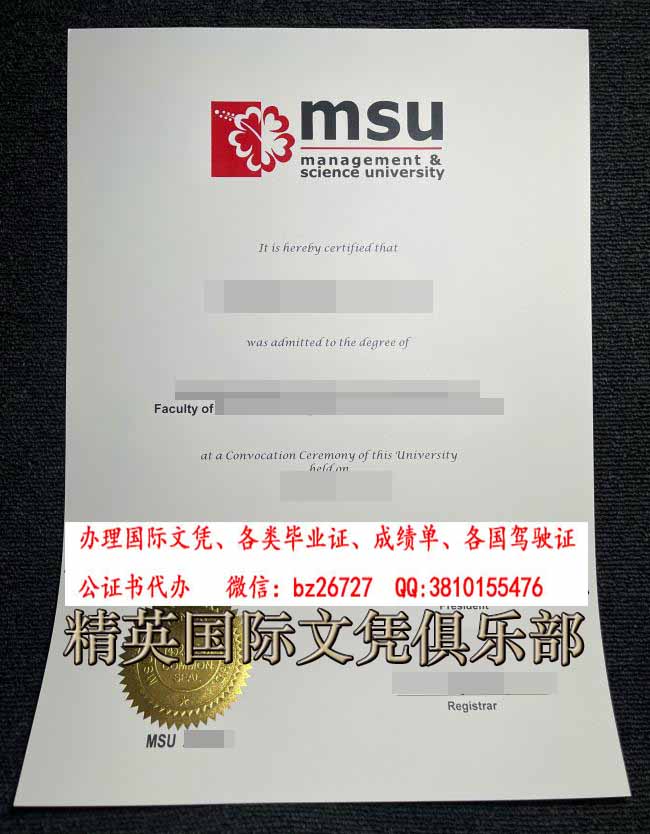 �������ѧ��ѧ��ƾ