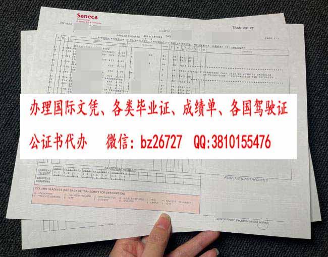 ʥ����ѧԺ�ɼ���