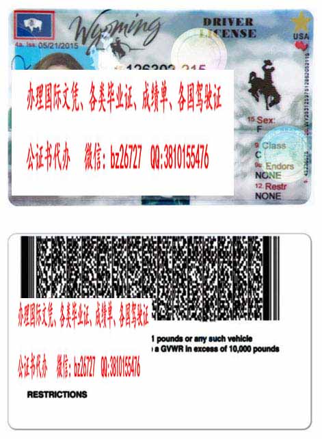 �����������ݼ���