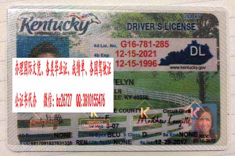 �����������ݼ���