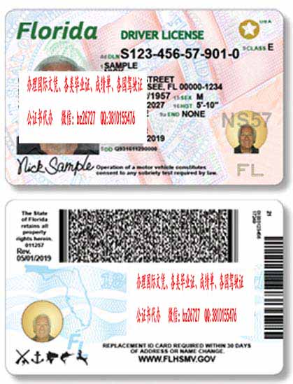 ����������������ݼ�ʻ֤