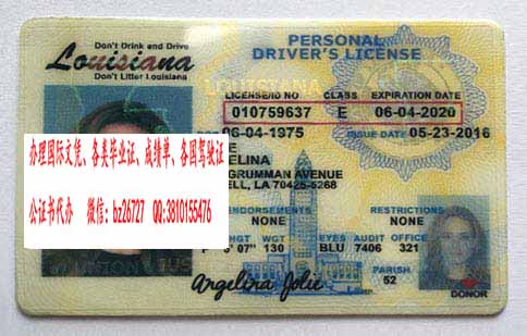 ��������·��˹�����ݼ���