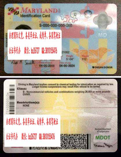 ���������������ݼ���