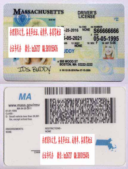 �����������������ݼ���