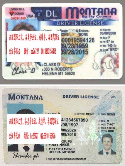 ���������ɴ����ݼ���