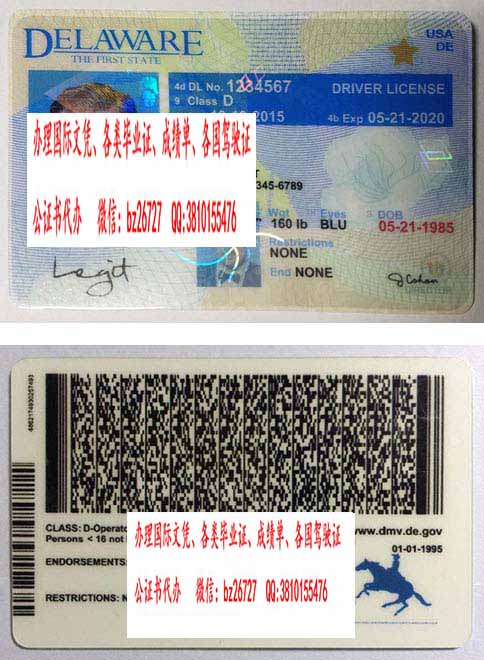 �����������ݼ���