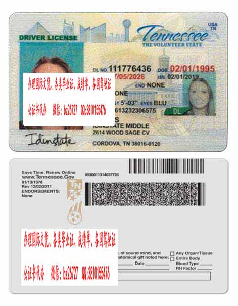 �����������ݼ���