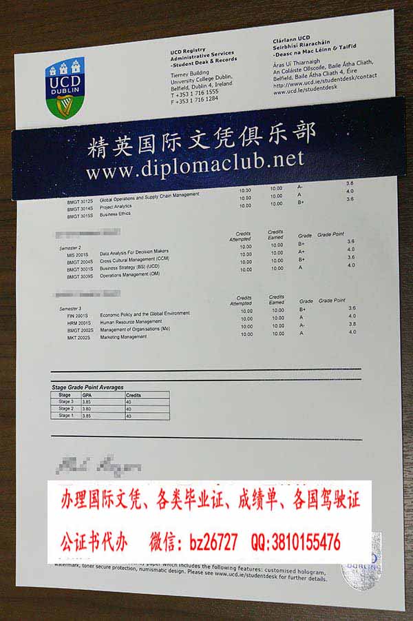 ���������������ִ�ѧ