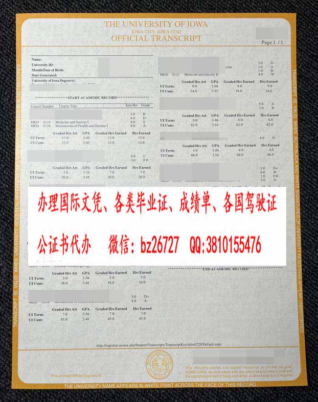 ���ɻ���ѧ�ɼ���