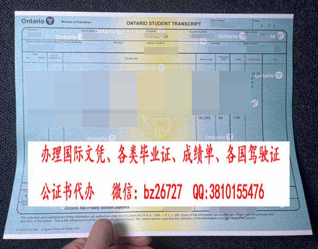 ������ʡ���гɼ���