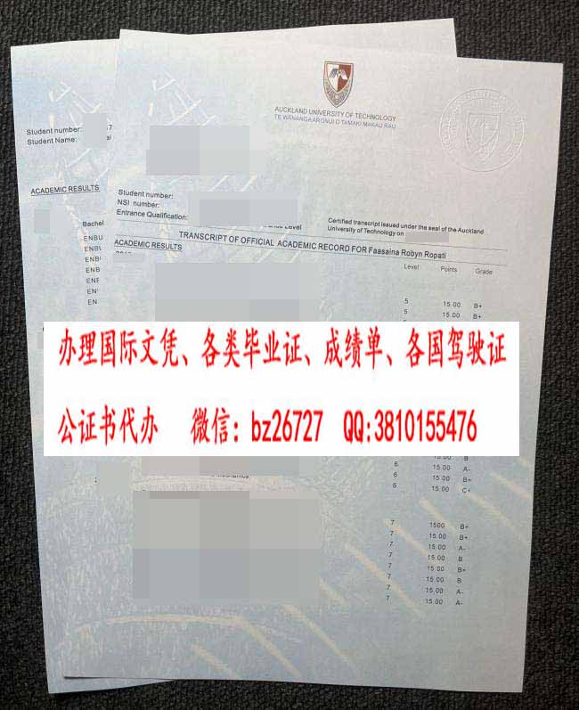 �¿���������ѧ�ɼ���