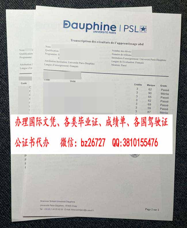 ����ھŴ�ѧ�ɼ���