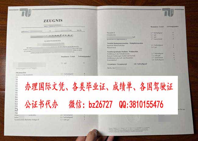 ���ֹ�ҵ��ѧ�ɼ���