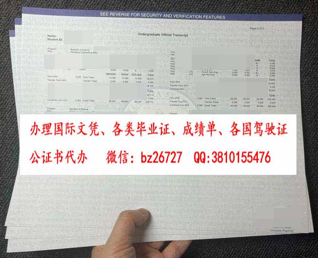 ��Ϧ������������ѧ�ɼ���