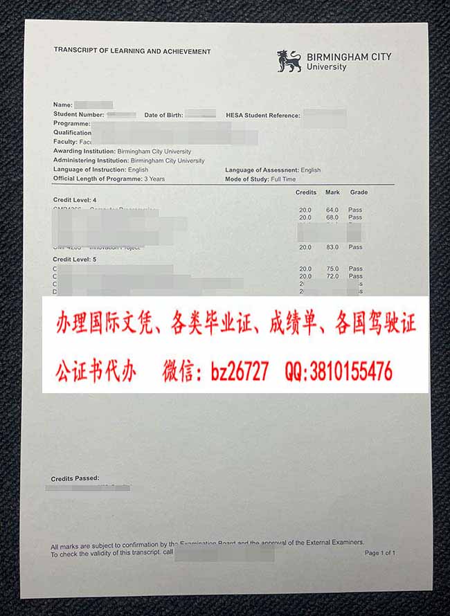 ���������д�ѧ�ɼ���-2