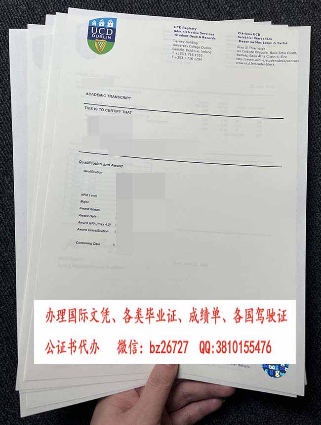 �����ִ�ѧ�ɼ���