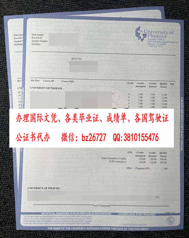 �����˹��ѧ�ɼ���