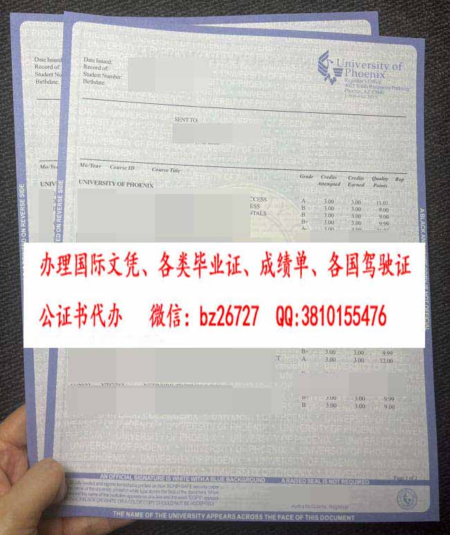 ��˳Ǵ�ѧ�ɼ���