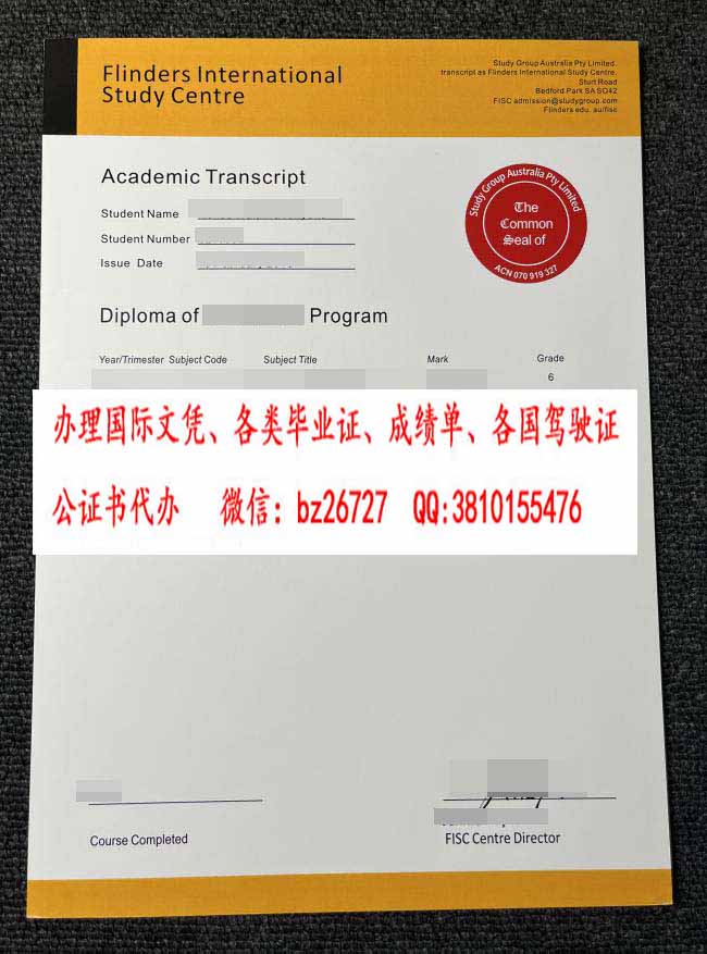 ���ֵ�˹��ѧ����ѧϰ���ĳɼ���