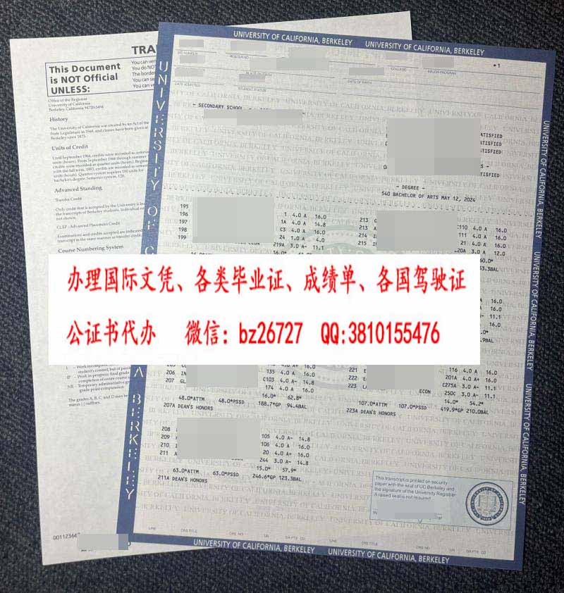 ���������Ǵ�ѧ��������У�ɼ���