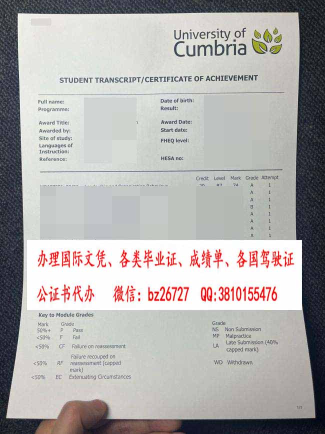 �������Ǵ�ѧ�ɼ���