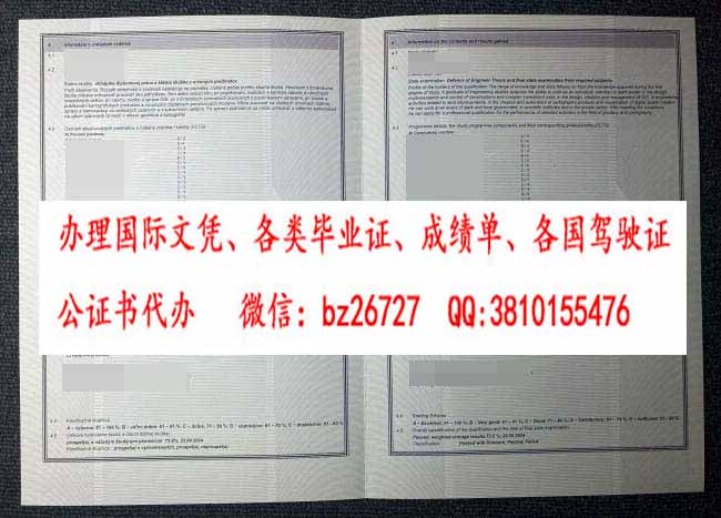 ��ϣ�߼�����ѧ�ɼ���