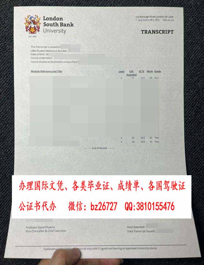 �׶��ϰ���ѧ�ɼ���