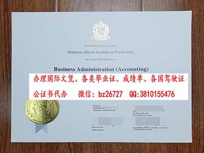 ���ô󱱰�������������ѧ��ƾ����