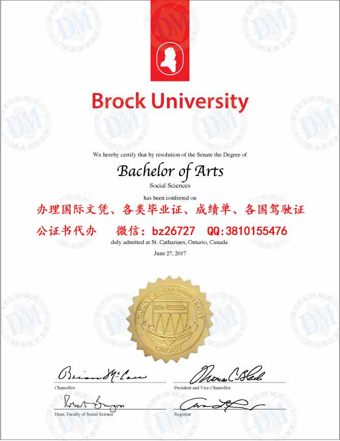 ���ô�³�˴�ѧ��ҵ֤��ƾ