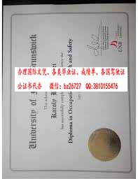 ���ô��²�����˴��ҵ֤��ƾ