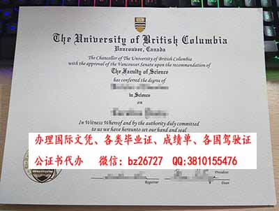 ���ô�Ӣ�����ױ��Ǵ�ѧ��ҵ֤��ƾ����