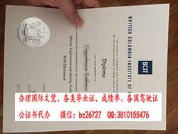 �ô��е߸��ױ�������ѧԺ��ƾ����