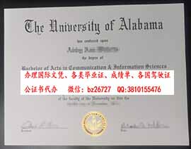 ��������������ѧ��ƾ����